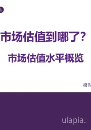 策略专题报告：市场估值水平概览-市场估值到哪了？