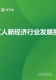 中国红人新经济行业发展报告