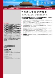 7月外汇市场分析报告：外汇供求关系反转，宏观审慎措施加码