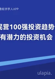 2023中国民营100强投资趋势分析：聚焦具有潜力的投资机会