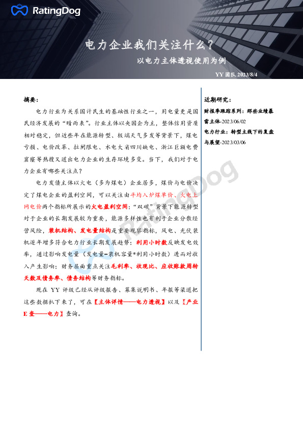电力企业我们关注什么？：以电力主体透视使用为例