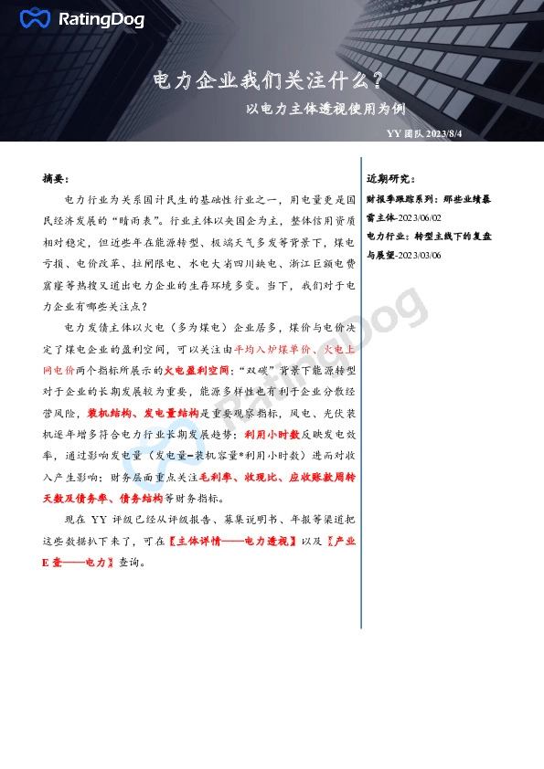 电力企业我们关注什么？：以电力主体透视使用为例