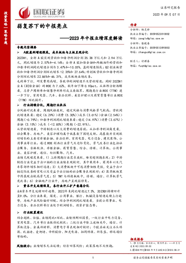 策略专题：2023年中报业绩深度解读-弱复苏下的中报亮点
