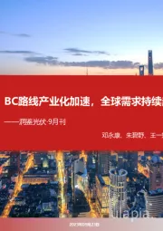 洞鉴光伏·9月刊:BC路线产业化加速,全球需求持续超预期