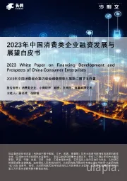 2023年中国消费类企业融资发展与展望白皮书