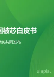 2023年中国被芯白皮书