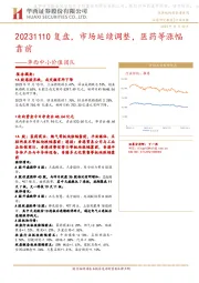 华西中小价值团队：复盘，市场延续调整，医药等涨幅靠前