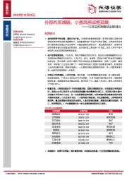 12月投资策略及金股组合：外部约束减弱，小盘风格或将延续