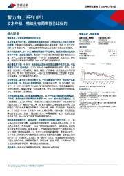 蓄力向上系列（四）：岁末年初，精细化布局高性价比标的