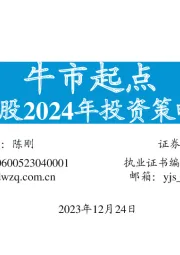 A股2024年投资策略展望：牛市起点