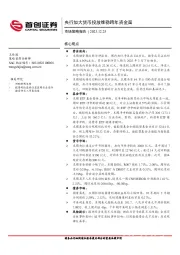 市场策略报告：央行加大货币投放维稳跨年资金面