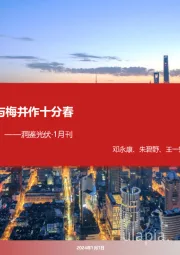 洞鉴光伏·1月刊:与梅并作十分春