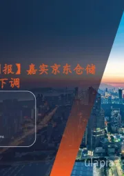 【另类资产周报】2024年第2期总第85期:嘉实京东仓储物流REIT租金下调