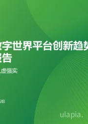 中国数字世界平台创新趋势发展研究报告：以实为本 以虚强实