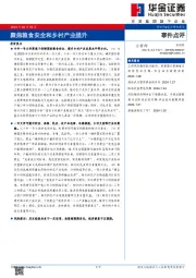 聚焦粮食安全和乡村产业提升