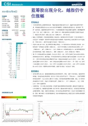 越南股市日评