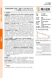 中小盘周报：低空经济首现政府工作报告，小鹏汇天X2首次飞越广州CBD