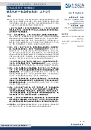 策略深度报告：被忽视的中长期资金来源：上市公司