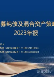 数说公募纯债及混合资产策略基金2023年报