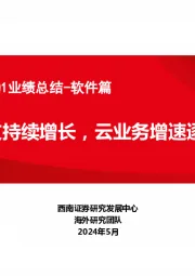 海外科技公司2024Q1业绩总结-软件篇:资本开支持续增长,云业务增速逐步回升