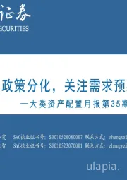 大类资产配置月报第35期-2024年6月：国内外政策分化，关注需求预期变化