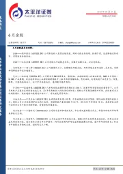 6月金股