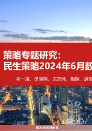 策略专题研究：民生策略2024年6月数据库月报