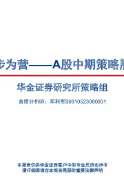 步步为营——A股中期策略展望