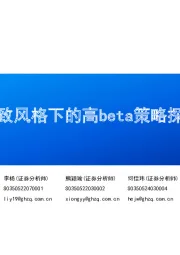 极致风格下的高beta策略探讨