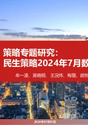 策略专题研究：民生策略2024年7月数据库月报