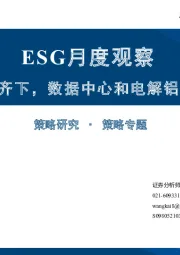 ESG月度观察：新旧领域双管齐下，数据中心和电解铝低碳计划出台