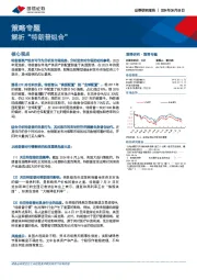 策略专题：解析“特朗普组合”