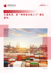 策略研究专题报告：定量视角，看“特朗普关税2.0”潜在影响