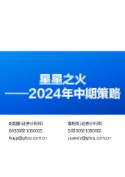 2024年中期策略：星星之火