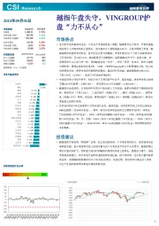 越南股市日评