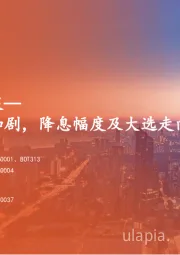 海外策略周报：海外市场波动加剧，降息幅度及大选走向是关键