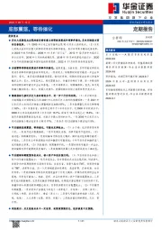 定期报告：底部震荡，等待催化