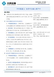 牛市复盘2：杠杆牛与核心资产牛
