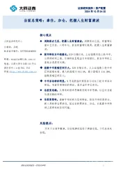 当前总策略：拿住，加仓，把握人生财富康波