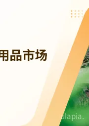 2024全球庭院用品市场洞察报告