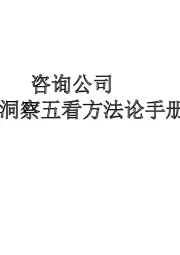 咨询公司：市场洞察五看方法论手册