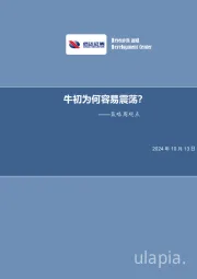 策略周观点：牛初为何容易震荡？