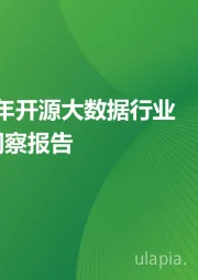 2024年开源大数据行业发展洞察报告