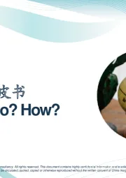 企业出海蓝皮书