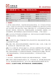 首席观市系列报告：今日指数震荡下行，钢铁、煤炭板块走低