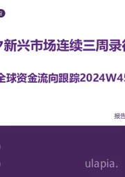 全球资金流向跟踪：大选前夕新兴市场连续三周录得净流出
