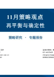 11月策略观点：再平衡与确定性