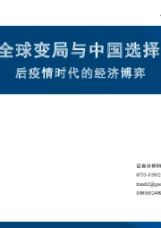 全球变局与中国选择：后疫情时代的经济博弈