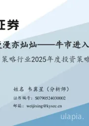 策略行业2025年度投资策略：长路漫漫亦灿灿——牛市进入二阶段