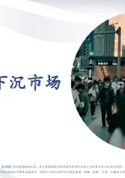 2024中国下沉市场蓝皮书